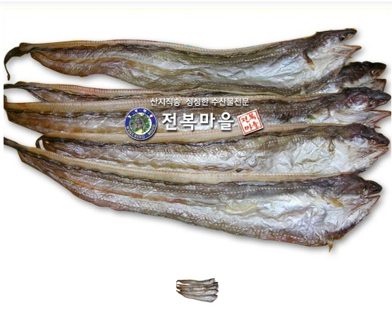 말린바다장어(반건장어)[대] 1kg  붕장어탕 장어매운탕 바다장어구이 장어찜 바다장어효능 바다장어의효능