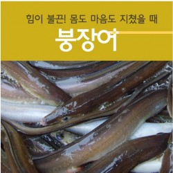 자연산바다장어[대](장어탕용) 1kg   붕장어탕 장어매운탕 바다장어구이 장어찜 바다장어효능 바다장어의효능