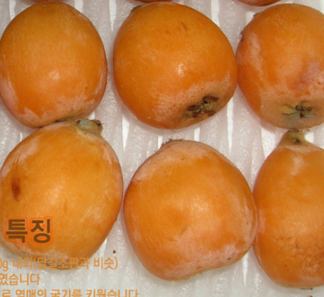 비파열매(대)[과일용]1kg (25~30과) [예약주문상품] [6월중순이후배송]