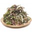 염장해초모듬(모듬해초) 2kg(20~25인분)  염장해초 해초모둠 모둠해초 해초샐러드 해초셀러드  해초비빔밥 해초쌈 해초요리