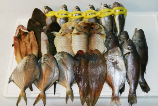 고급생선세트(생선선물세트) 2호    생선,고급생선,생선선물,생선선물세트,이바지생선,제찬생선[예약주문상품]