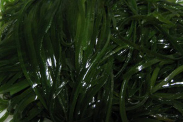 염장다시마채(채다시마) 5kg밥다시마 해초비빔밥 해초무침 해초샐러드 해초셀러드 해초요리 다시마볶음