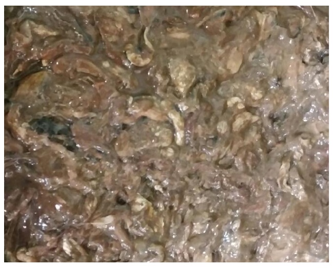 갈치속절임[특산품]2kg 갈치속 갈치창 갈치속젓 갈치창젓 갈치액젓  갈치속젓갈 갈치젓 갈치젓갈