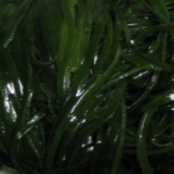 염장다시마채(채다시마) 3kg  밥다시마 해초비빔밥 해초무침 해초샐러드 해초셀러드 해초요리 다시마볶음