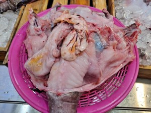 생아구(생아귀) 5kg (2-3마리내외)  아구찜 아구탕 아귀요리(조업당일발송상품)