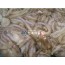 생물 쭈꾸미(생주꾸미)(10~16마리내외) 1kg  [예약주문] 국산주꾸미 국산쭈꾸미 서해안쭈구미 서해안쭈꾸미 가을주꾸미 봄주꾸미 주꾸미볶음 쭈꾸미볶음 주꾸미효능 주꾸미의효능