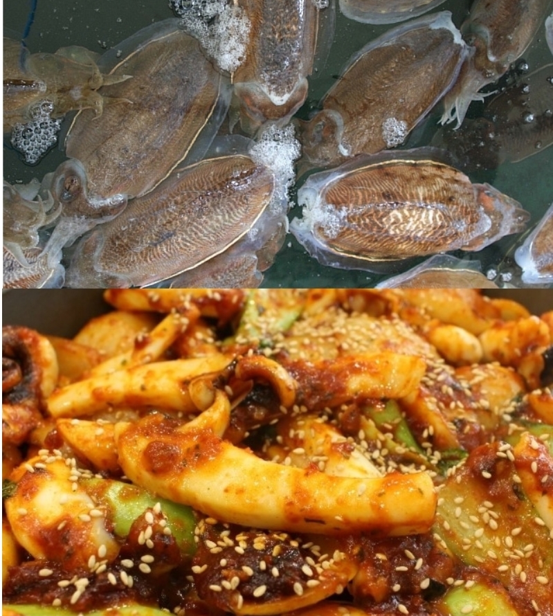 반건조 갑오징어(대) (250~300g) (3~4마리)×1팩 (약1kg이내)    목포갑오징어 반건갑오징어,반건조오징어,피대기,피데기갑오징어요리