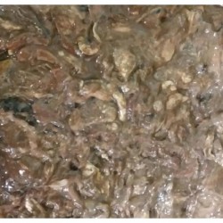 갈치속절임[특산품]1kg  갈치속 갈치창 갈치속젓 갈치창젓 갈치액젓  갈치속젓갈 갈치젓 갈치젓갈