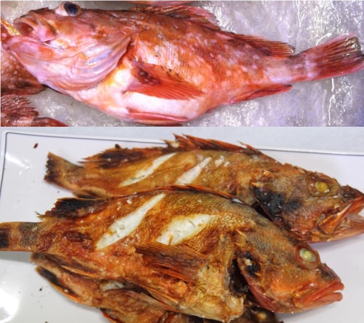 말린쏨뱅이(쏨팽이)[대]1kg(2-4마리내외)   쏨뱅이,쏨팽이,생선,열기어,불볼락,쏨뱅이매운탕,[예약주문상품]