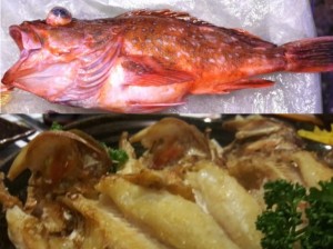 말린쏨뱅이(쏨팽이)[대]1kg(2-4마리내외)   쏨뱅이,쏨팽이,생선,열기어,불볼락,쏨뱅이매운탕,[예약주문상품]