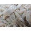 호래기(꼴뚜기) 500g  (조업당일발송상품) 생물호래기 생꼴뚜기 생물꼴뚜기 서해안호래기호래기철 호래기볶음 호래기회