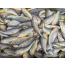 참조기(생조기) 1kg (14-18마리)   생조기,생물조기,조기매운탕 조기튀김 조기구이 젓갈용참조기 목포조기